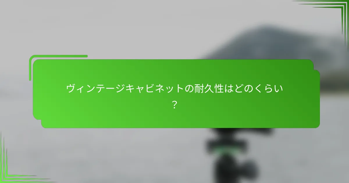 ヴィンテージキャビネットの耐久性はどのくらい?